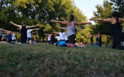 Retiros de Yoga: Una Transformación Personal